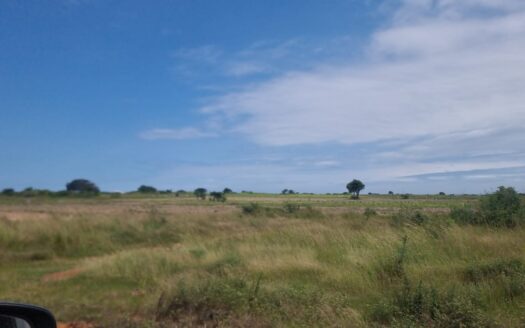DETACHED HOMES & TITLED LAND FOR SALE IN CENTRAL ACCRA